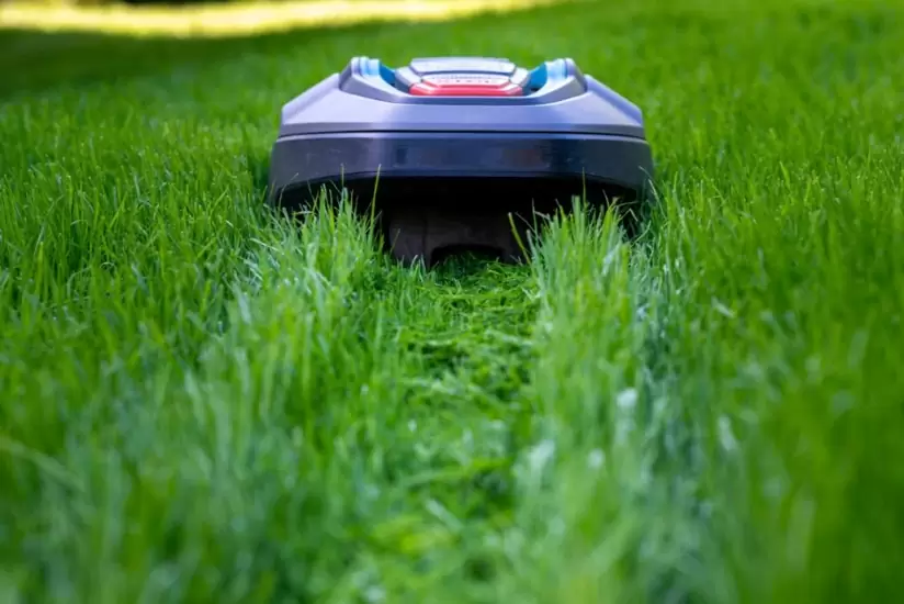 Save Time and Money with Robotic Lawn Mowers