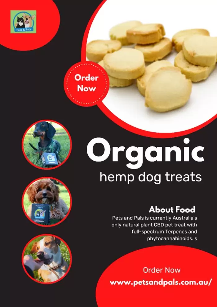 Buy Organic with Our Premium Hemp Dog Treat Order Now